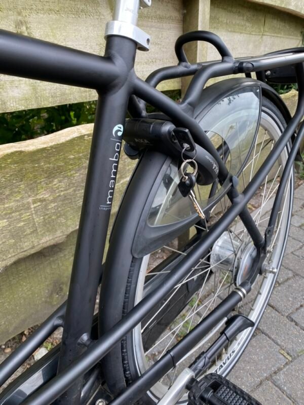 Batavus inspire herenfiets