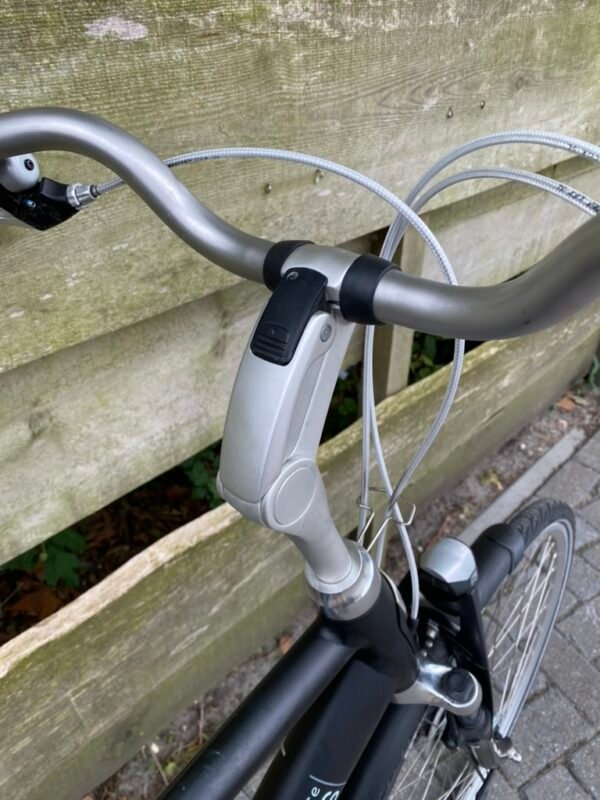 Batavus inspire herenfiets