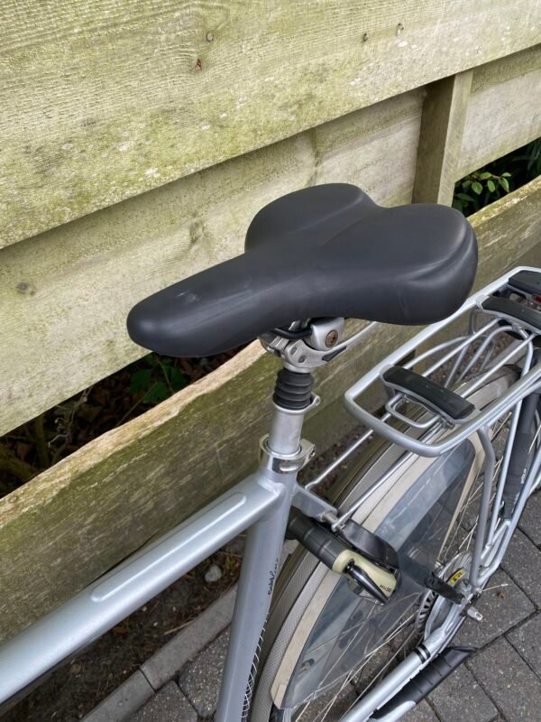 Gazelle Gorldline Edition Herenfiets