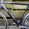 Gazelle Goldline design