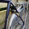 Gazelle Goldline design