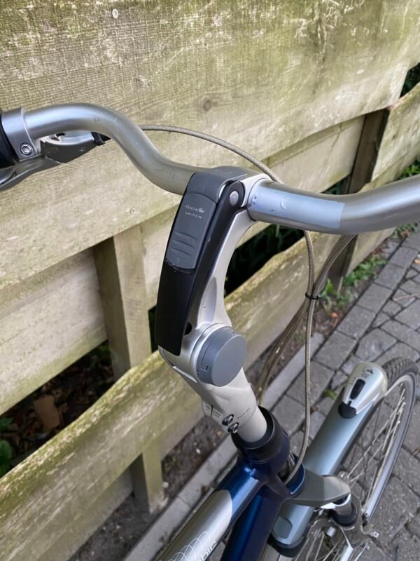 Gazelle Gorldline Edition Herenfiets