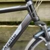 Gazelle Gorldline Edition Herenfiets