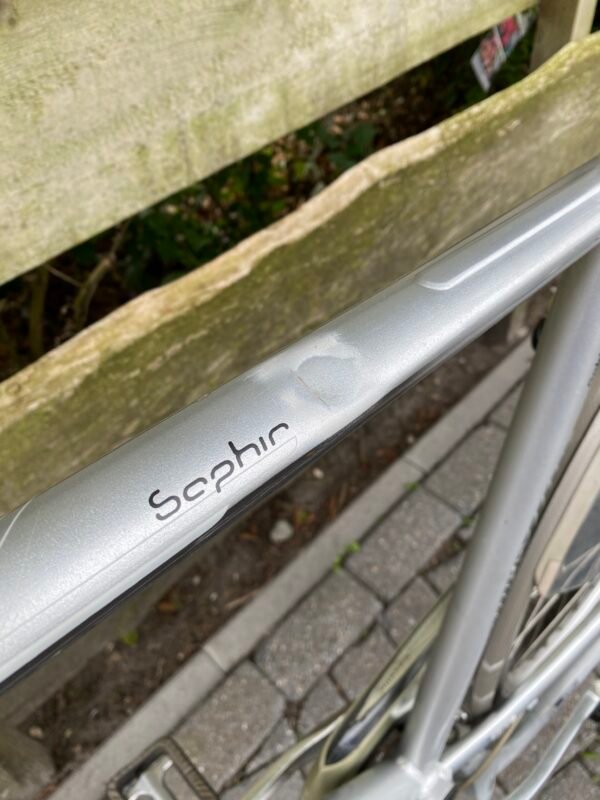 Gazelle Gorldline Edition Herenfiets