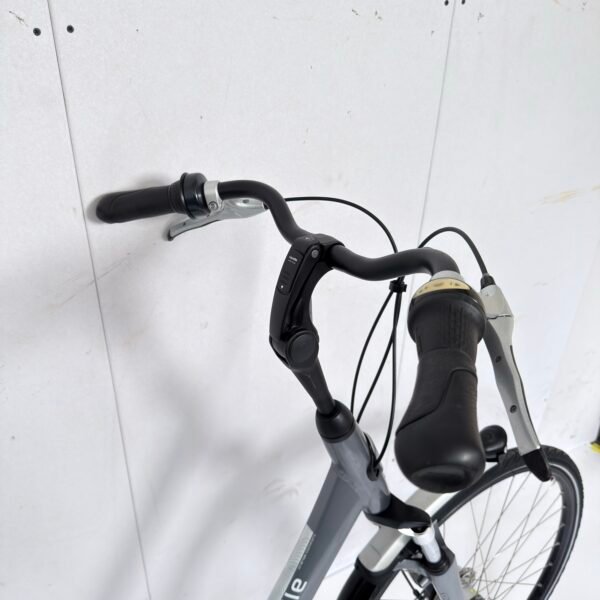 img_1902-2 Gazelle Orange C7+ | 57 cm