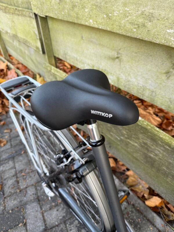 gazelle Lausanne goldline damesfiets