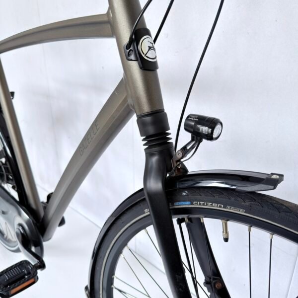 Gazelle Chamonix C8 | 65 cm