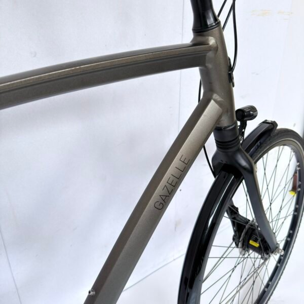 Gazelle Chamonix C8 | 65 cm