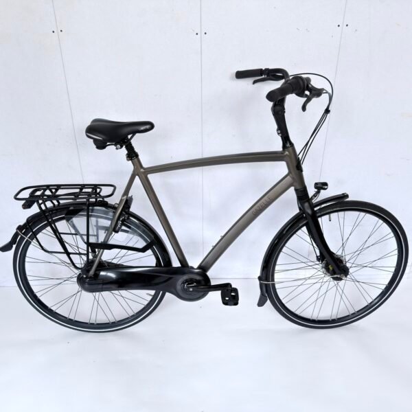 Gazelle Chamonix C8 | 65 cm