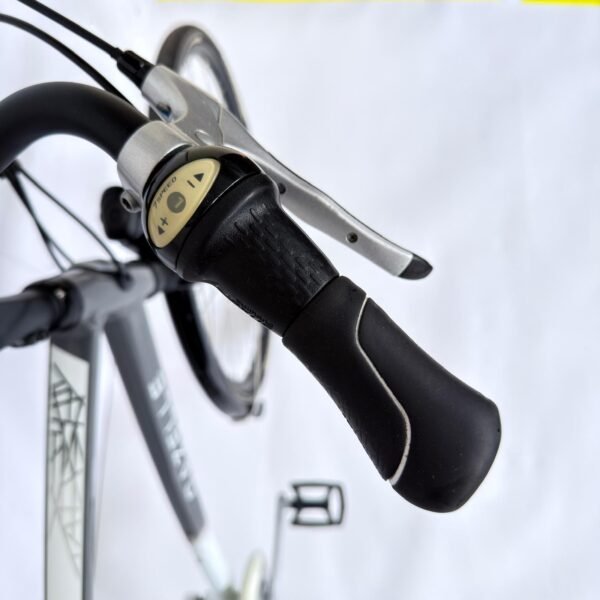 Gazelle chamonix herenfiets 61 cm