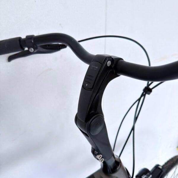 Gazelle chamonix herenfiets 65 cm