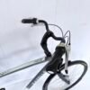 Gazelle Chamonix C7 Comfort | 61 cm