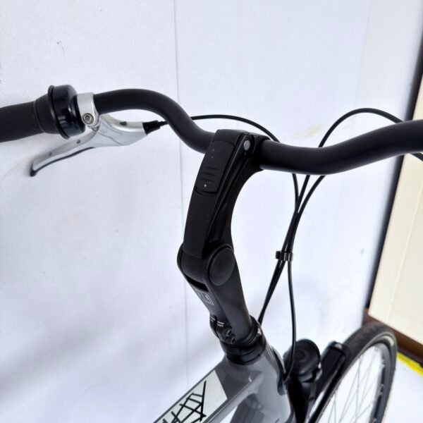 Gazelle Chamonix C7 Comfort | 61 cm